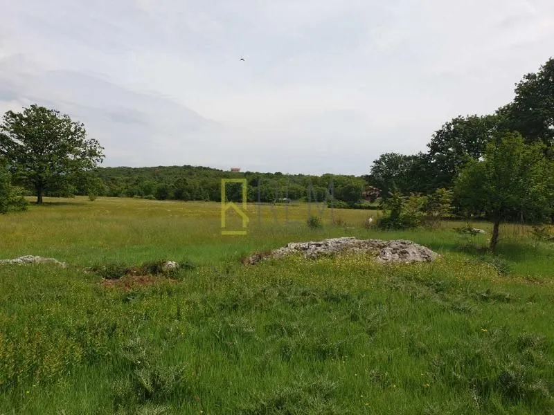 Prodaja, plac, 12000m², Spuž, Danilovgrad