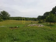 Sale, land lot, 12000m², Spuž, Danilovgrad - image 2