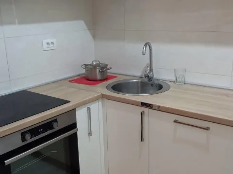 Rent, one bedroom apartment, 47m², Central Point, Podgorica - image 5