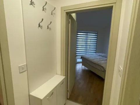 Izdavanje, jednosoban stan, 55m², Zagorič, Podgorica - image 26