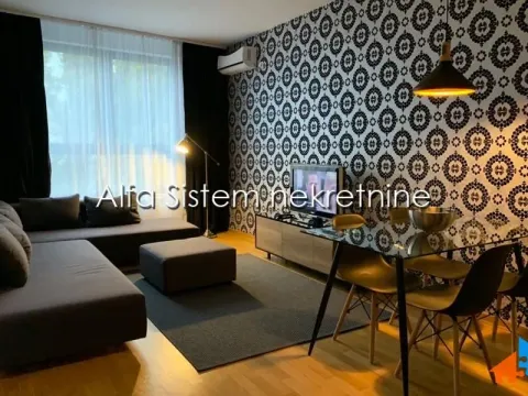 Izdavanje, dvosoban stan, 54m², Vračar Centar, Vračar Sve Podlokacije - image 3