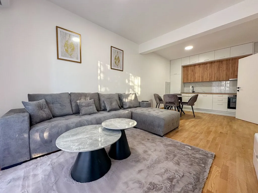 Rent, one bedroom apartment, 46m², Zabjelo, Podgorica