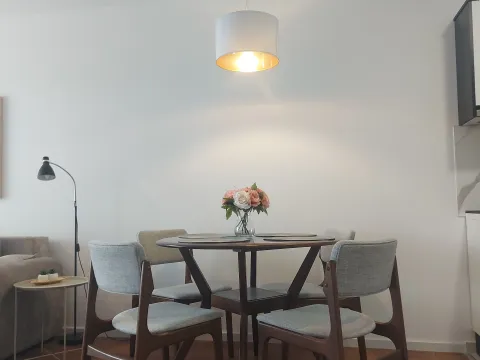 Rent, two bedroom apartment, 46m², Palilula Sve Podlokacije, Beograd - image 9