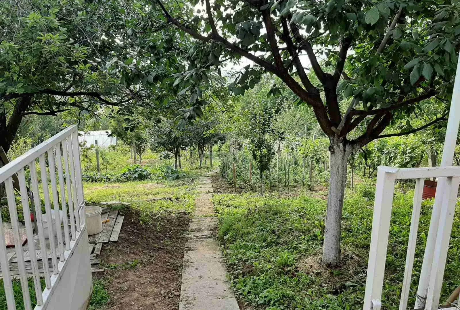 Sale, house, 210m², Sremska Kamenica, Petrovaradin