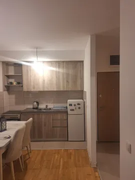 Rent, one bedroom apartment, 31m², Zabjelo, Podgorica - image 7