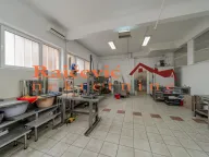 Prodaja, poslovni prostor, 315m², Vojvode Vlahovica, Beograd - image 3