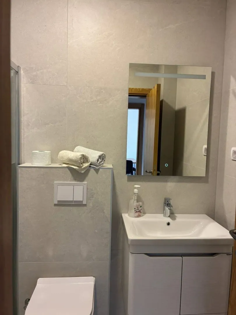 Modernly equipped bathroom with a washbasin, toilet bowl and mirror.