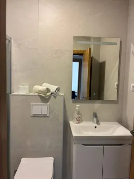 Modernly equipped bathroom with a washbasin, toilet bowl and mirror. - image 6