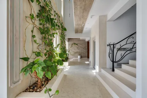 Prodaja, kuća, 850m², Tivat, Crna Gora - image 17