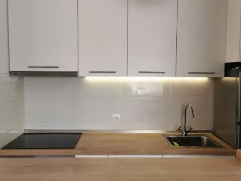 Izdavanje, jednosoban stan, 41m², Zemun Gornji Grad, Zemun Sve Podlokacije - image 3