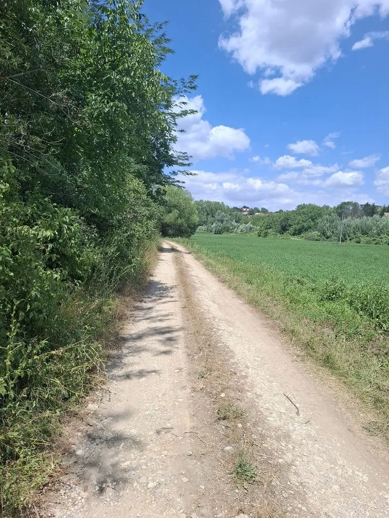 Prodaja, plac, 14200m², Irig, Srbija