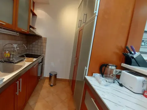 Izdavanje, stan, 156m², Kalenić Pijaca, Vračar Sve Podlokacije - image 6