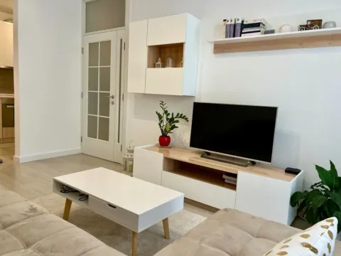 Izdavanje, jednosoban stan, 50m², Centar, Podgorica - image 4