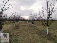 Prodaja, plac, 58m², Banjani, Ub - image 3