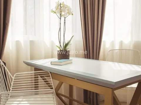 Prodaja, ugostiteljski objekat, 317m², Velji Vinogradi, Budva - image 4