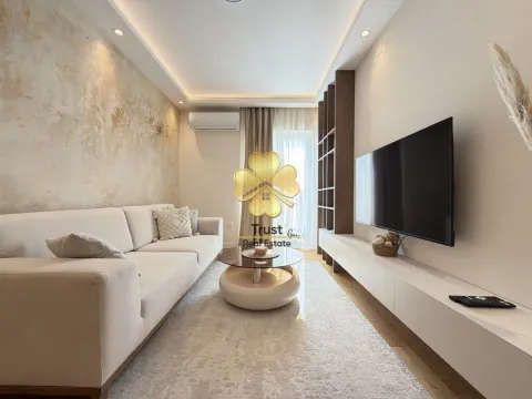 Izdavanje, jednosoban stan, 45m², Central Point, Podgorica - image 1