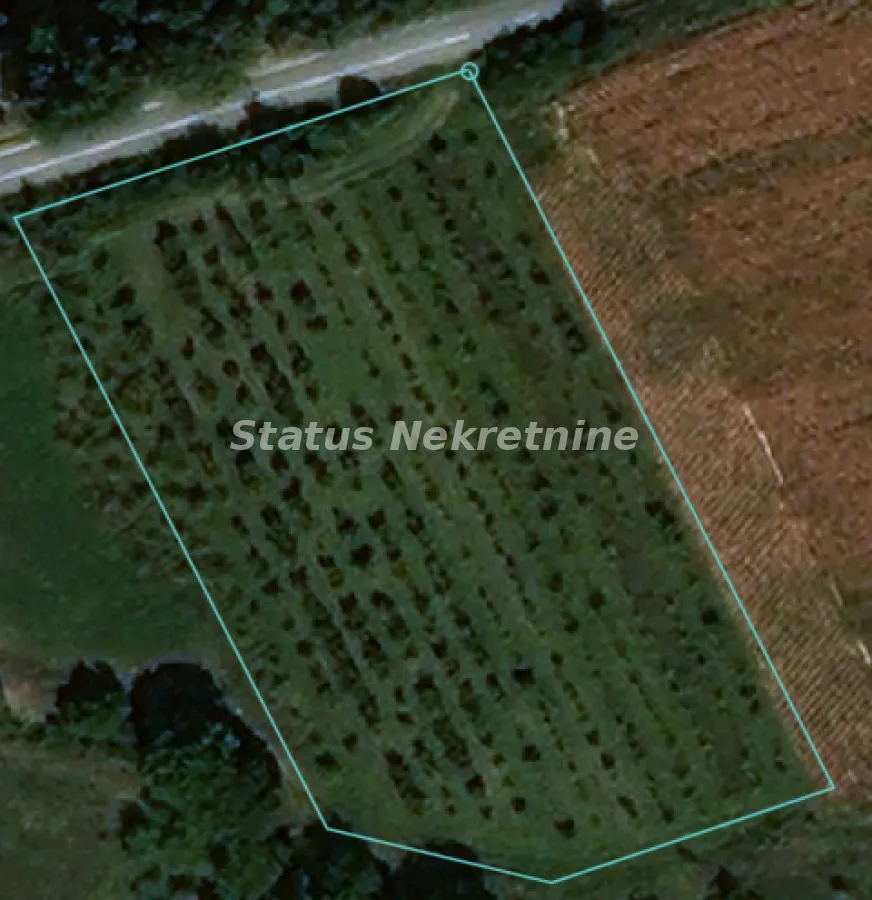 Sale, land lot, 5000m², Sremski Karlovci, Novi Sad