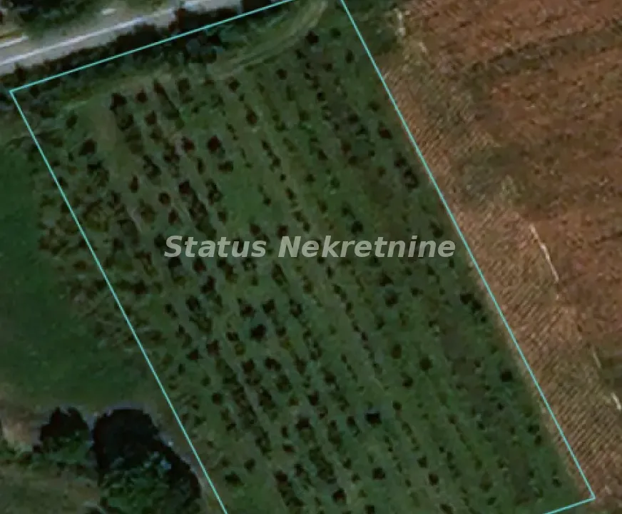 Prodaja, plac, 50m², Sremski Karlovci, Novi Sad