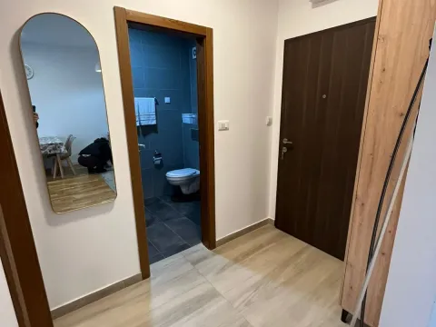 Sale, one bedroom apartment, 40m², Zabjelo, Podgorica - image 4