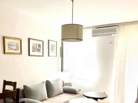 Rent, one bedroom apartment, 40m², Rozino, Budva - image 7