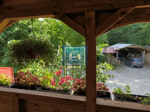 Prodaja, ugostiteljski objekat, 250m², Despotovac, Srbija - image 16