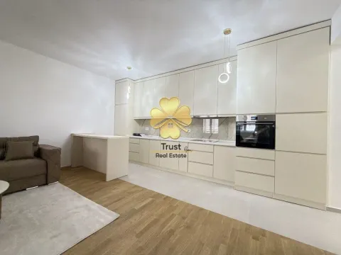 Izdavanje, dvosoban stan, 85m², Stari Aerodrom, Podgorica - image 2