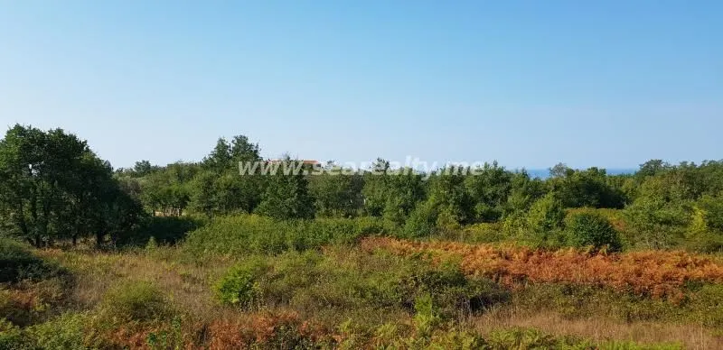 Prodaja, plac, 6400m², Krimovica, Kotor