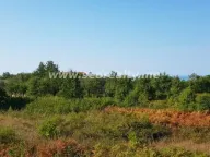 Sale, land lot, 6400m², Krimovica, Kotor - image 6