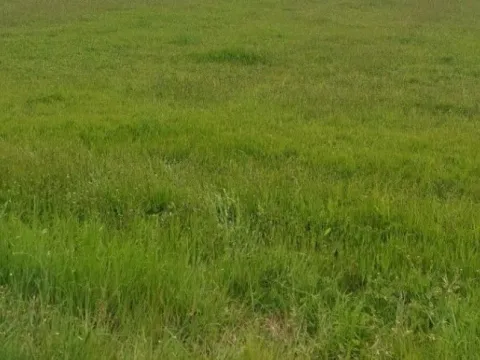 Prodaja, zemljište, 586m2, Doljani, Podgorica Prodaja, zemljište, 586m2, Doljani, Podgorica