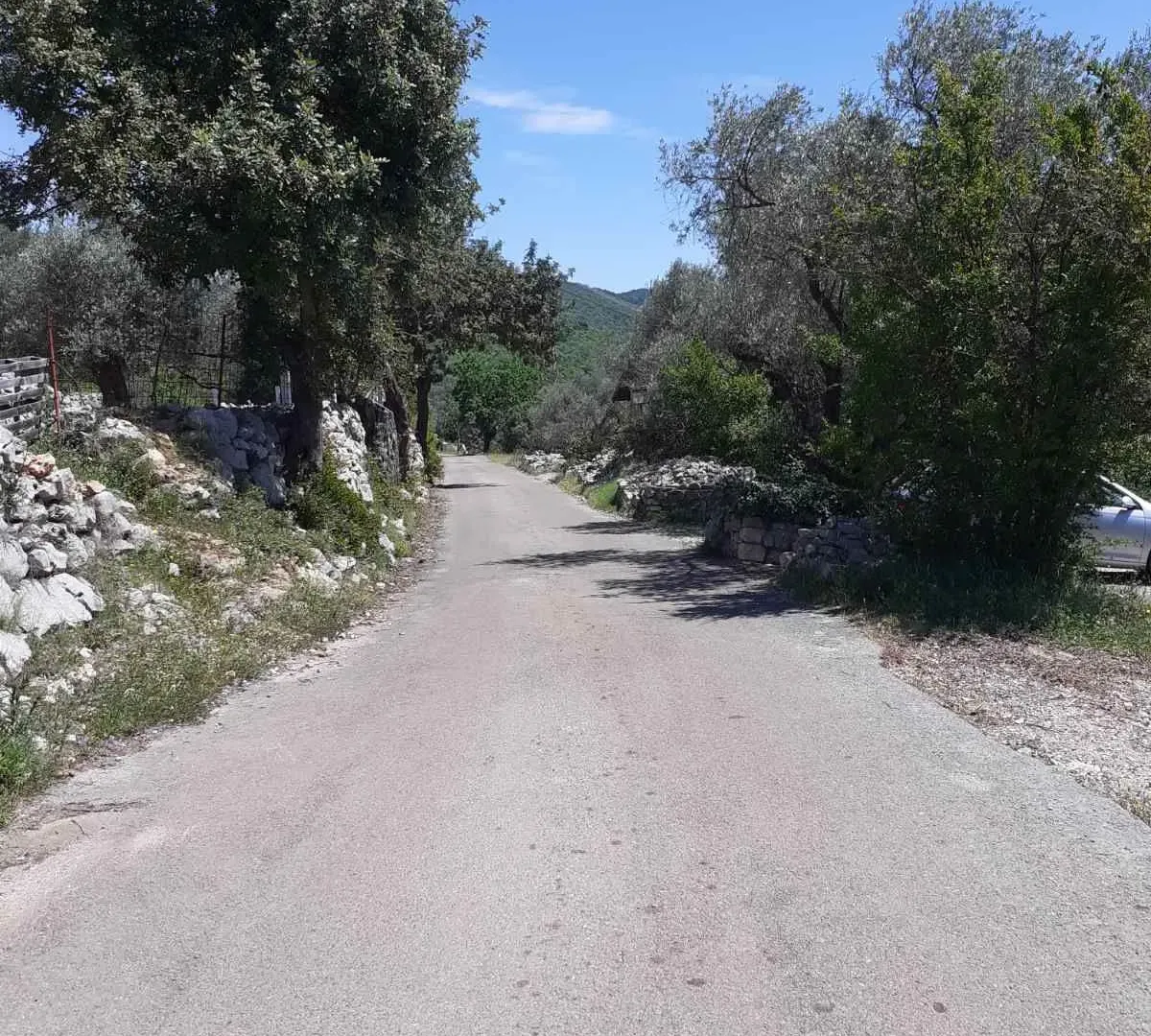 Prodaja, plac, 8000m², Herceg Novi, Crna Gora
