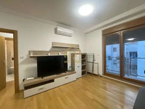 Izdavanje, četvorosoban stan, 110m², Vračar Hram, Vračar Sve Podlokacije - image 2