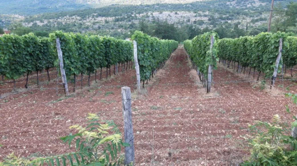 Sale, land lot, 8924m², Jelenak, Danilovgrad