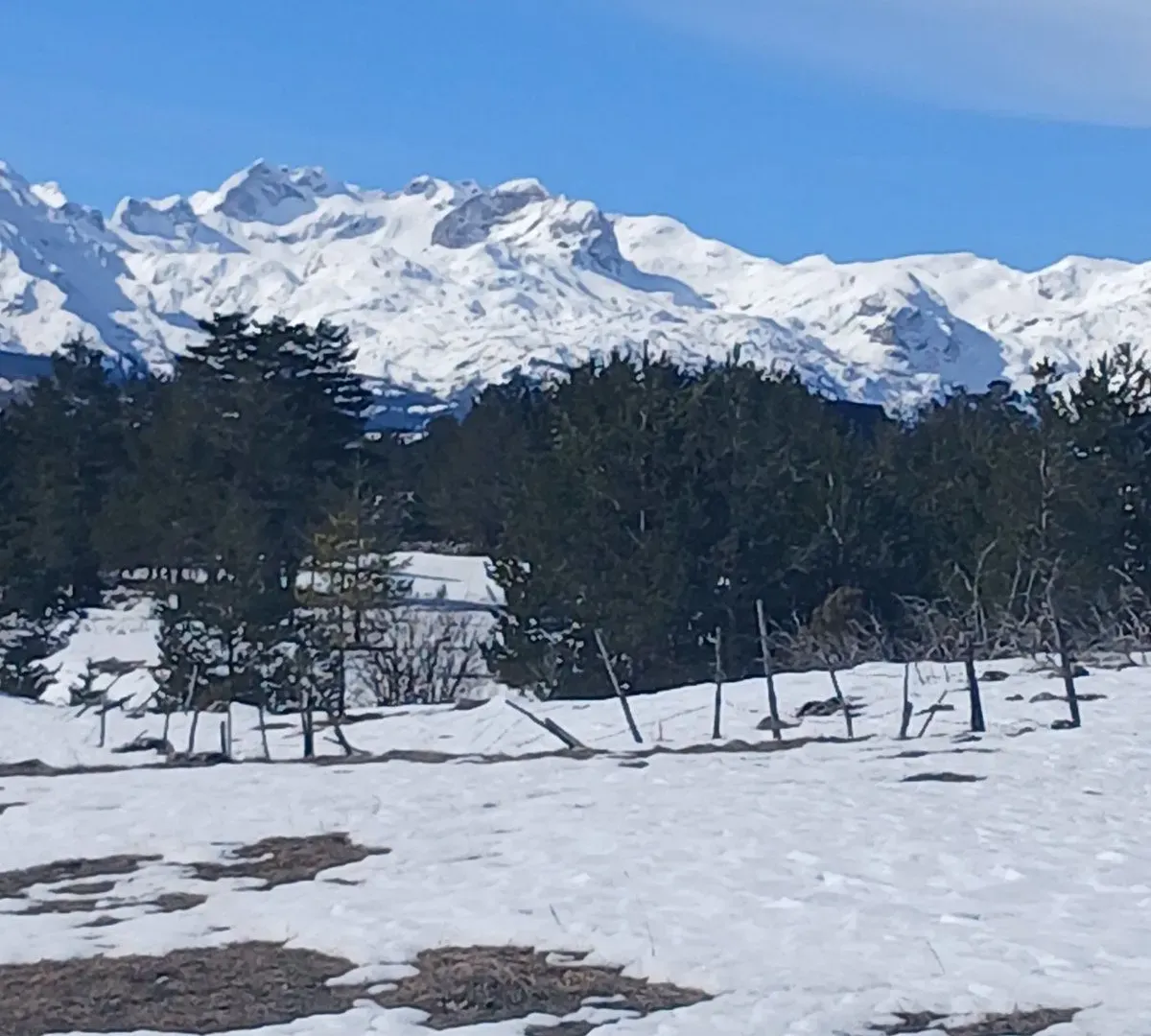 Prodaja, plac, 3000m², Borje, Žabljak