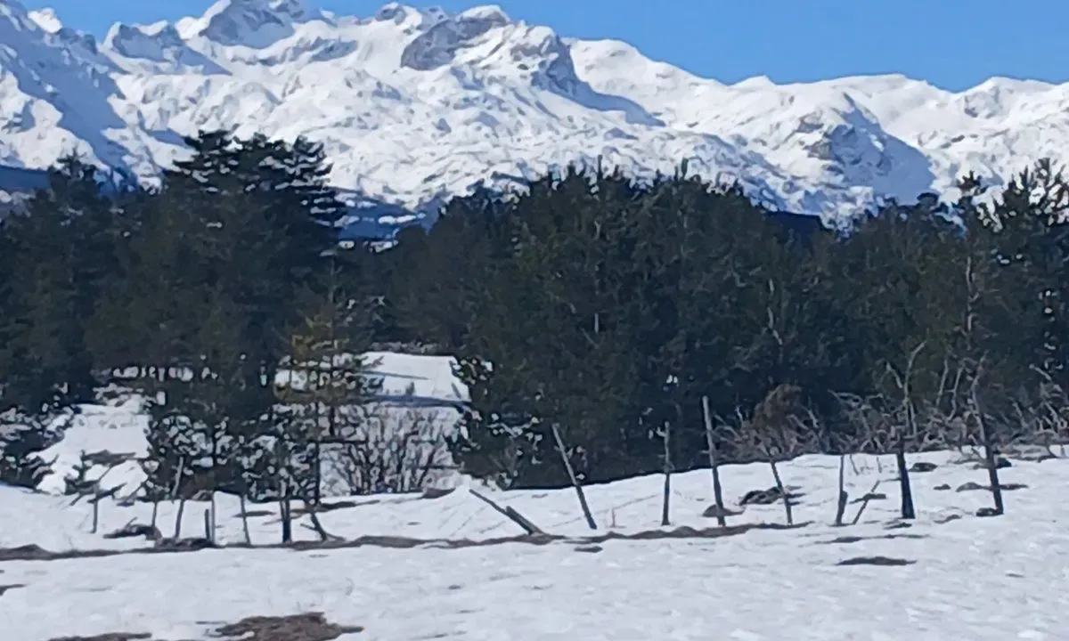 Prodaja, plac, 3000m², Borje, Žabljak
