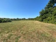 Sale, land lot, 14717m², Kosić, Danilovgrad - image 5