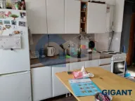 Prodaja, jednosoban stan, 43m², Višnjička Banja, Palilula Sve Podlokacije - image 3