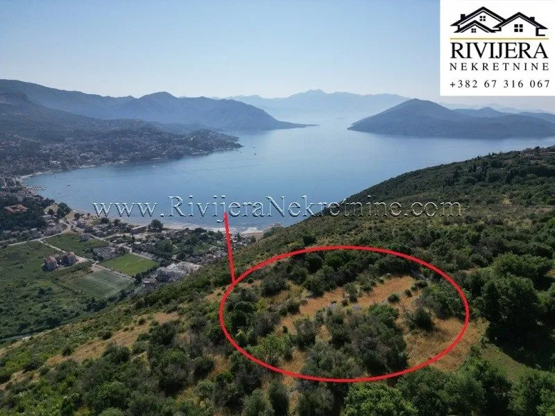 Prodaja, plac, 9393m², Žvinje, Herceg Novi