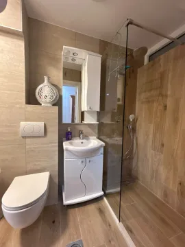Modernly equipped bathroom with a walk-in shower, washbasin, and wall-hung toilet. - image 2