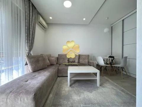 Izdavanje, jednosoban stan, 35m², Podgorica, Crna Gora - image 4