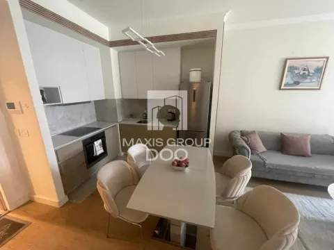 Izdavanje, dvosoban stan, 51m², Savski Venac, Beograd - image 16