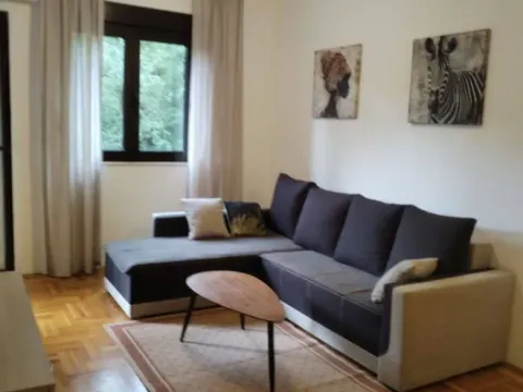 Izdavanje, dvosoban stan, 43m², Podmaine, Budva - image 3