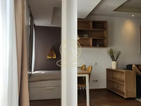 Izdavanje, dvosoban stan, 35m², Kluz, Zvezdara Sve Podlokacije - image 13