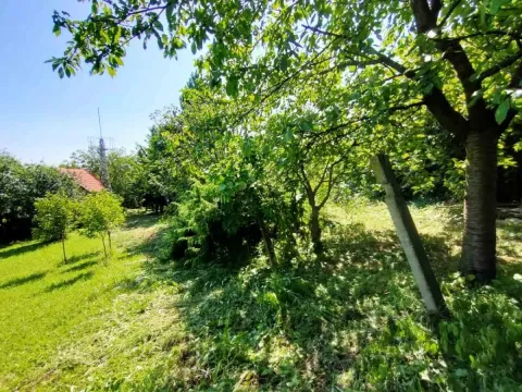 Sale, land lot, 1500m², Bocke, Petrovaradin - image 3
