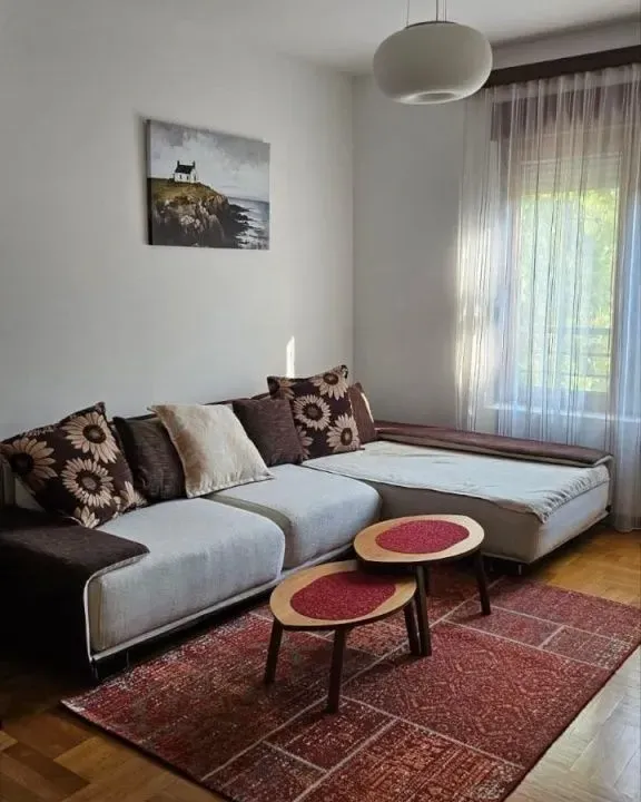 Izdavanje, dvosoban stan, 70m², Gintaš, Podgorica