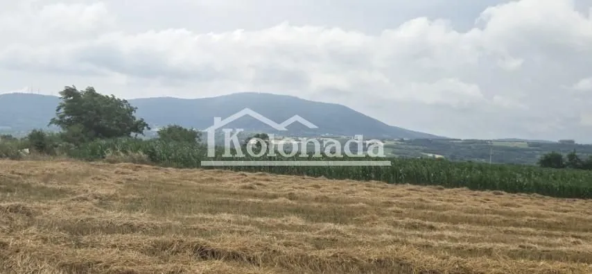 Prodaja, plac, 7400m², Nemenikuće, Sopot