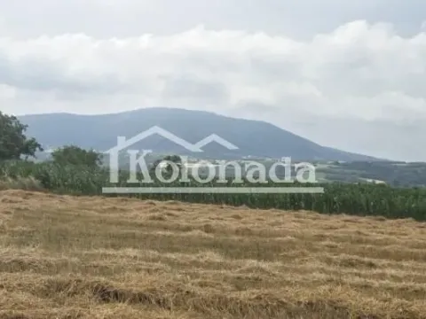 Prodaja, plac, 7400m², Nemenikuće, Sopot - image 1