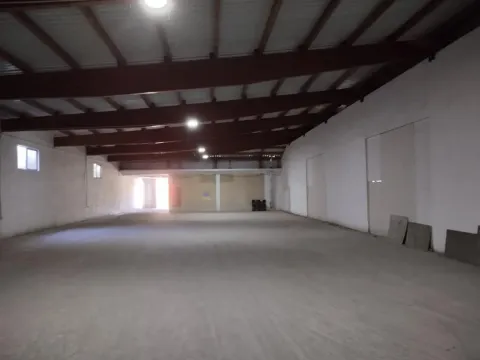 Izdavanje, poslovni prostor, 780m², Altina, Beograd - image 5