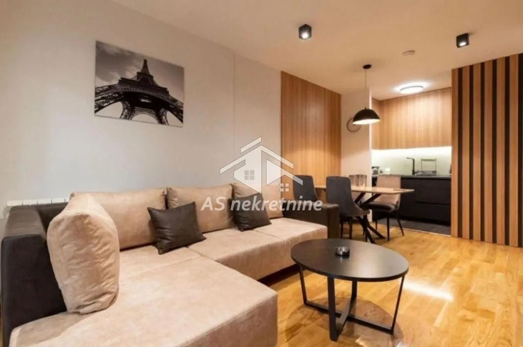 Izdavanje, dvosoban stan, 55m², Južni Bulevar, Vračar Sve Podlokacije