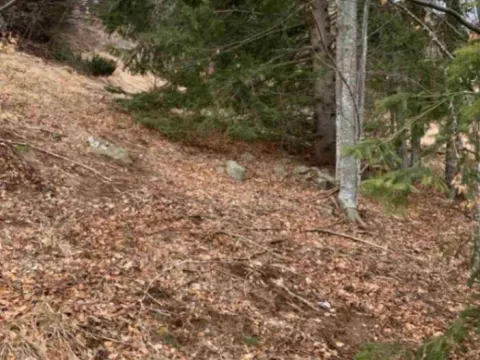 Prodaja, plac, 630m², Kopaonik, Srbija - image 7