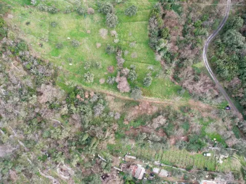 Prodaja, plac, 750m², Herceg Novi, Crna Gora - image 2